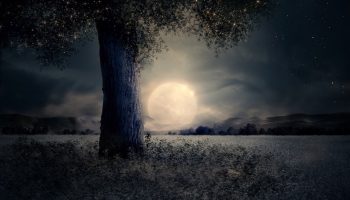night, landscape, tree, fairy tale, fantasy, moon, mysterious, trunk, grass, light, full moon, mystic, deserted, nature, mountains, horizontal, fantasy, moon, moon, moon, moon, moon, full moon, full moon, full moon